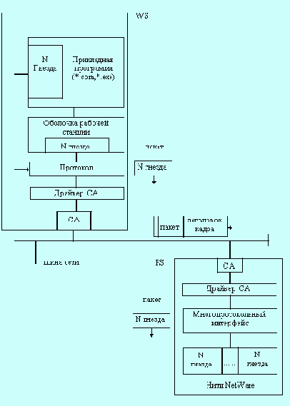       NetWare