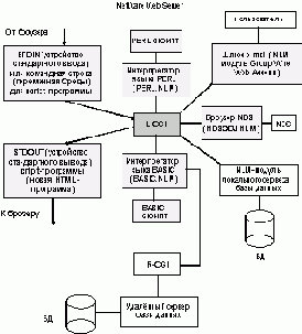   NetWare   Intranet
