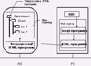   NetWare   Intranet