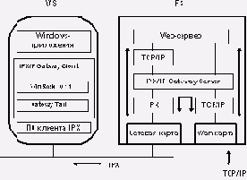  NetWare   Intranet